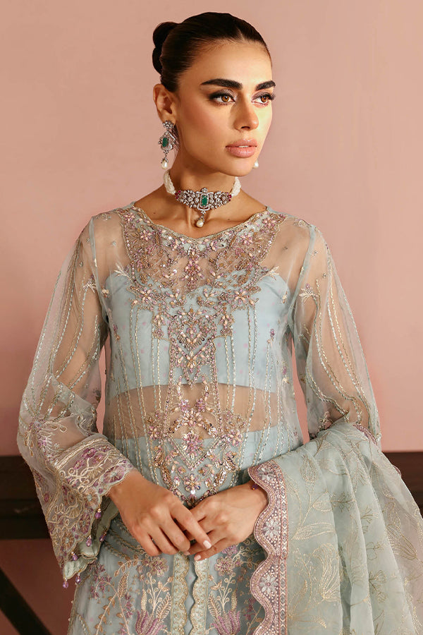 Ramsha Luxury Festive'24 V-2 E#204