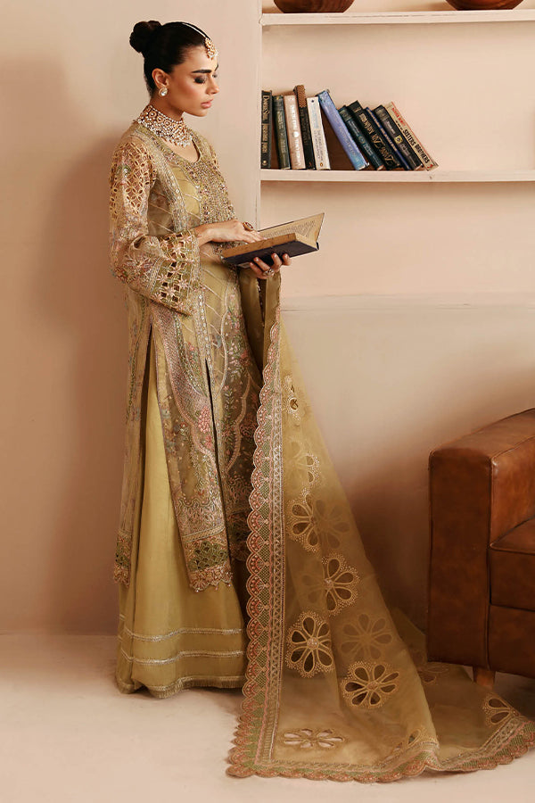 Ramsha Luxury Festive'24 V-2 E#205