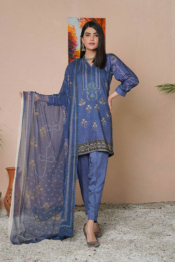 Rang Mehal Winter Collection`21 (Blue)