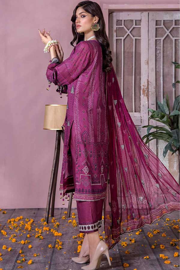 Rang Raiz Muskari Lawn'23 D#4