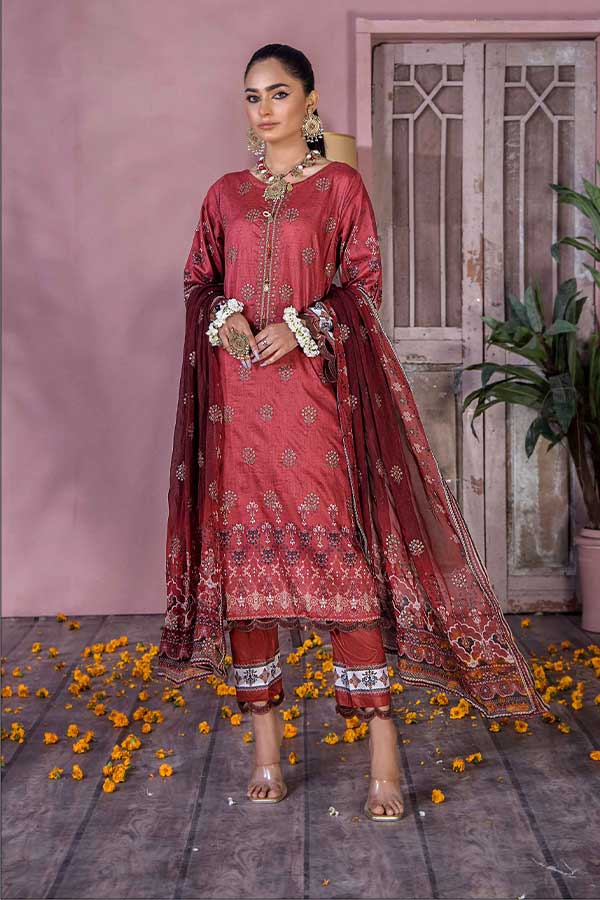 Rang Raiz Muskari Lawn'23 D#9