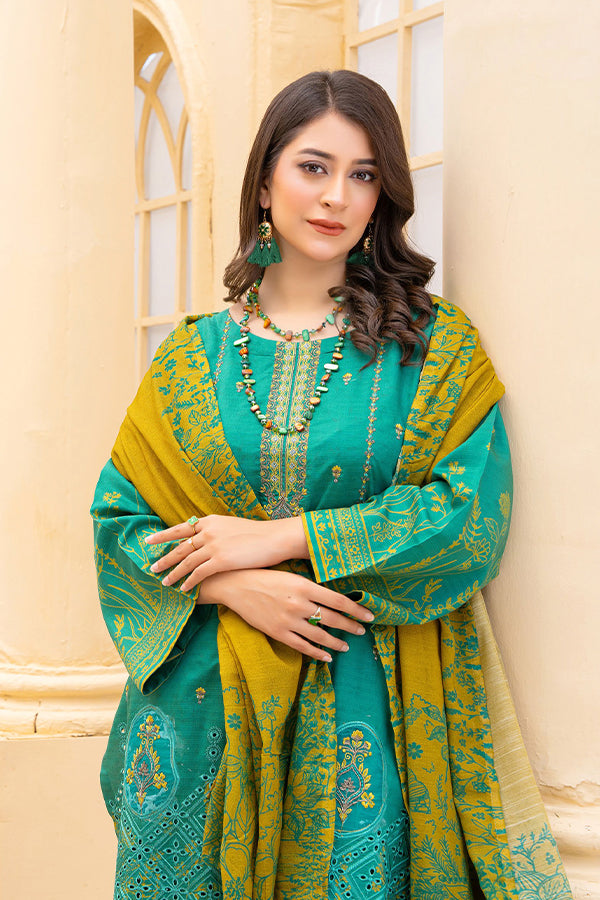 Rang Raiz NoorJahan Slub Linen`24 D#02