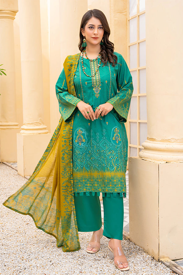 Rang Raiz NoorJahan Slub Linen`24 D#02