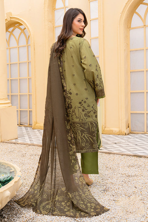 Rang Raiz NoorJahan Slub Linen`24 D#05