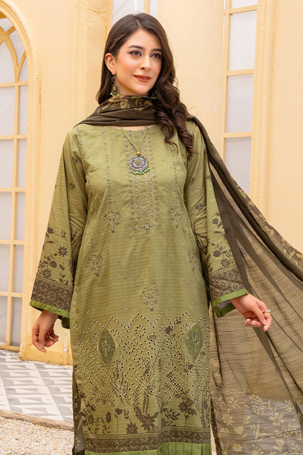 Rang Raiz NoorJahan Slub Linen`24 D#05