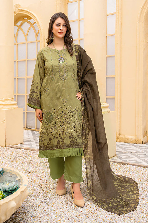 Rang Raiz NoorJahan Slub Linen`24 D#05