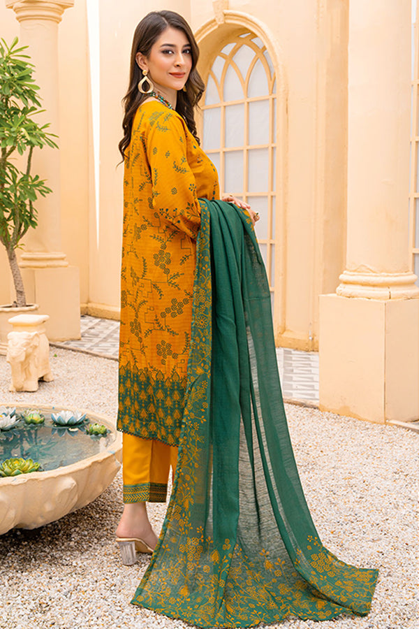 Rang Raiz NoorJahan Slub Linen`24 D#09