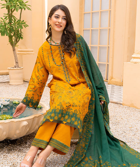 Rang Raiz NoorJahan Slub Linen`24 D#09