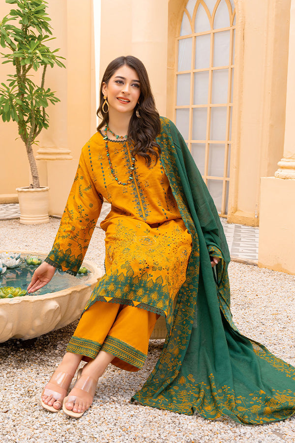 Rang Raiz NoorJahan Slub Linen`24 D#09