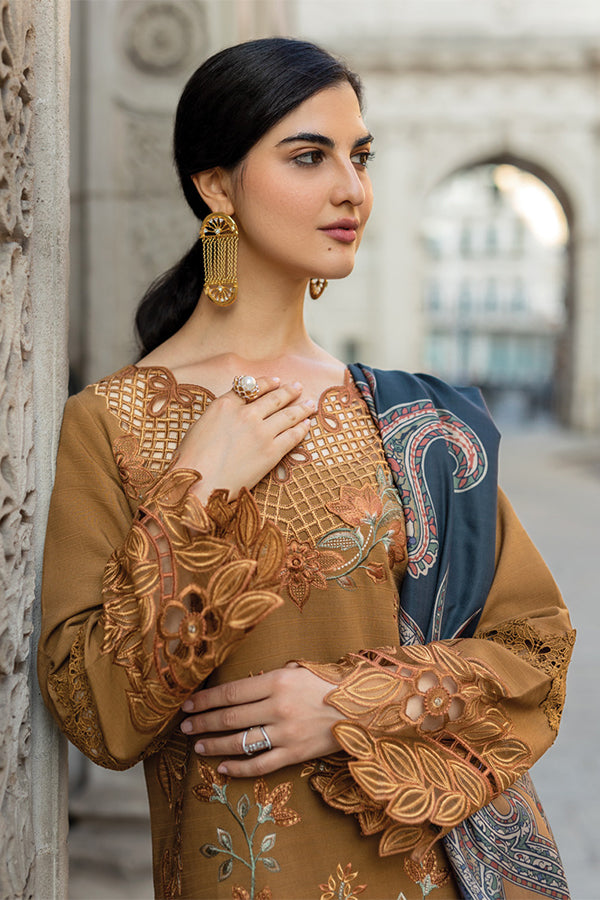 Rang Rasiya Carnation Winter Shawl Edit'24 D#3 AUTUMN