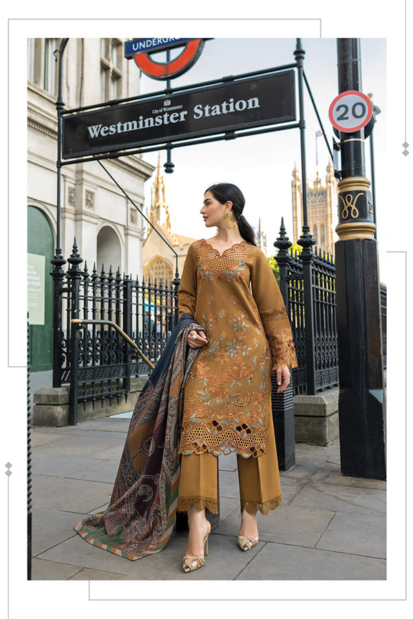 Rang Rasiya Carnation Winter Shawl Edit'24 D#3 AUTUMN