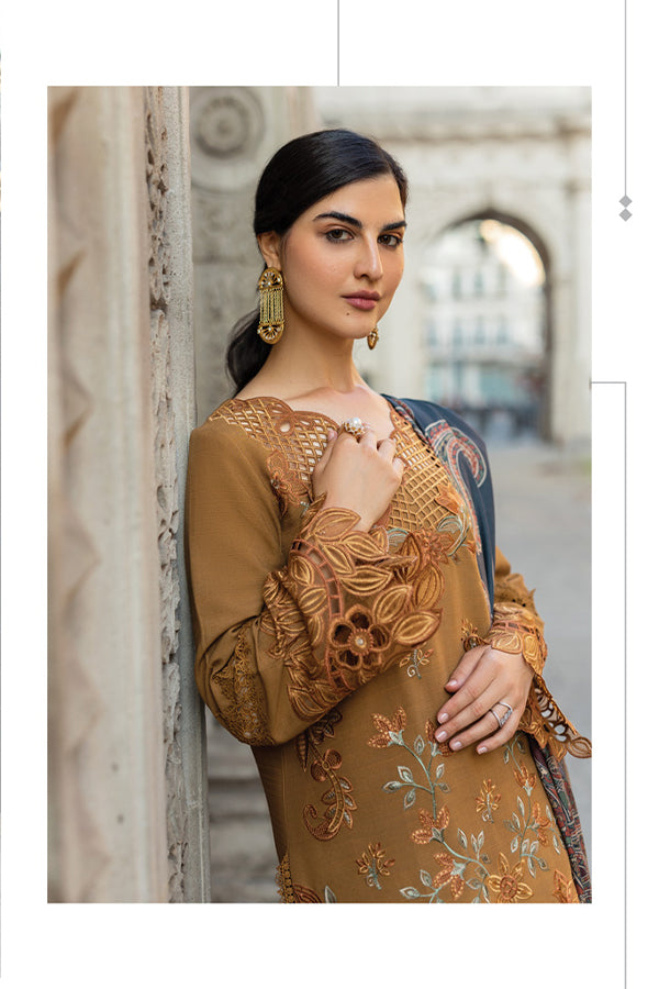 Rang Rasiya Carnation Winter Shawl Edit'24 D#3 AUTUMN