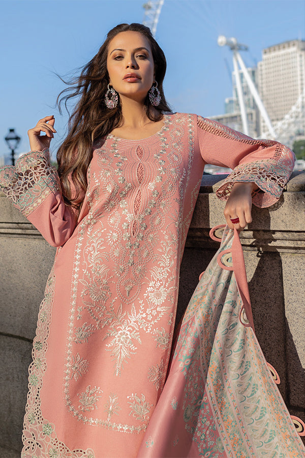 Rang Rasiya Carnation Winter Shawl Edit'24 D#9 GRACE