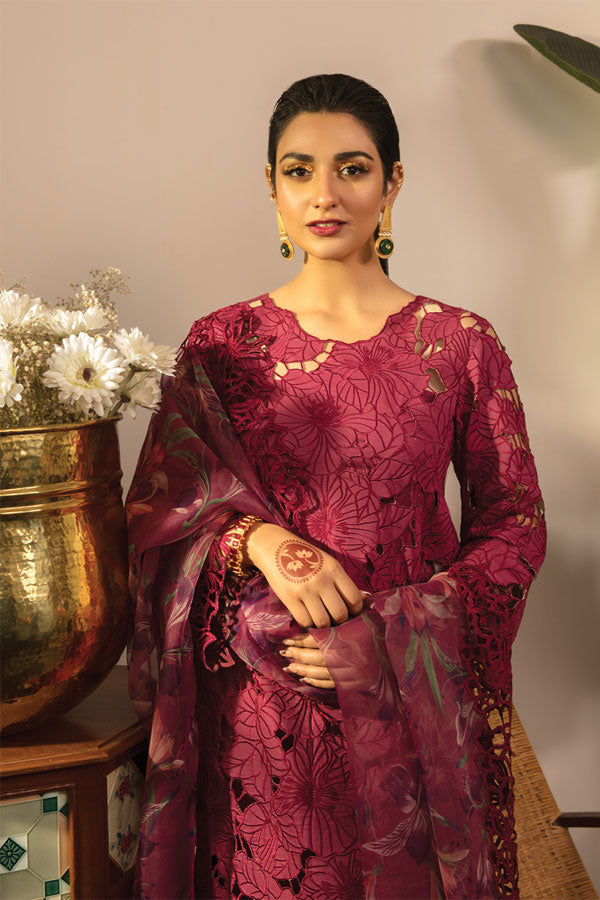 Rang Rasiya Rehmat Luxury Eid Collection`23 D#08 (AYSEL)