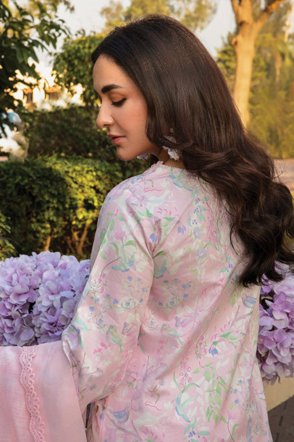 Rang Rasiya Florence Summer Edit`25 D#11