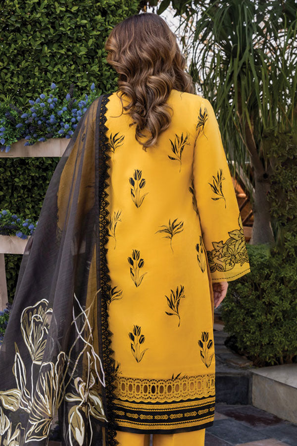 Rang Rasiya Florence Summer Edit`25 D#12