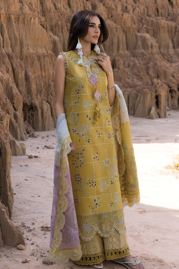 Home Rashiya Rang Rasiya Premium Eid Collection 2025 D#01 – Tradition Stores