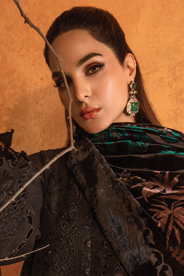 Rang Rasiya Premium Winter Edit'24 D#3