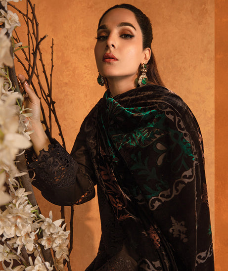 Rang Rasiya Premium Winter Edit'24 D#3