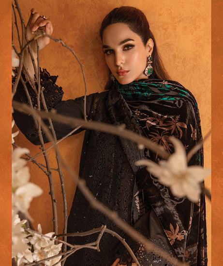 Rang Rasiya Premium Winter Edit'24 D#3