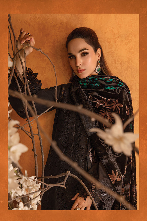 Rang Rasiya Premium Winter Edit'24 D#3