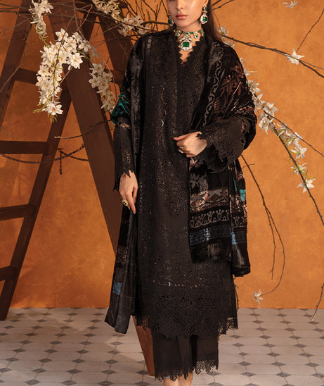 Rang Rasiya Premium Winter Edit'24 D#3