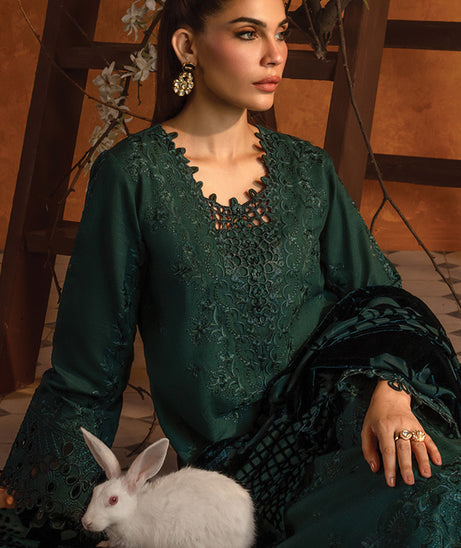 Rang Rasiya Premium Winter Edit'24 D#5