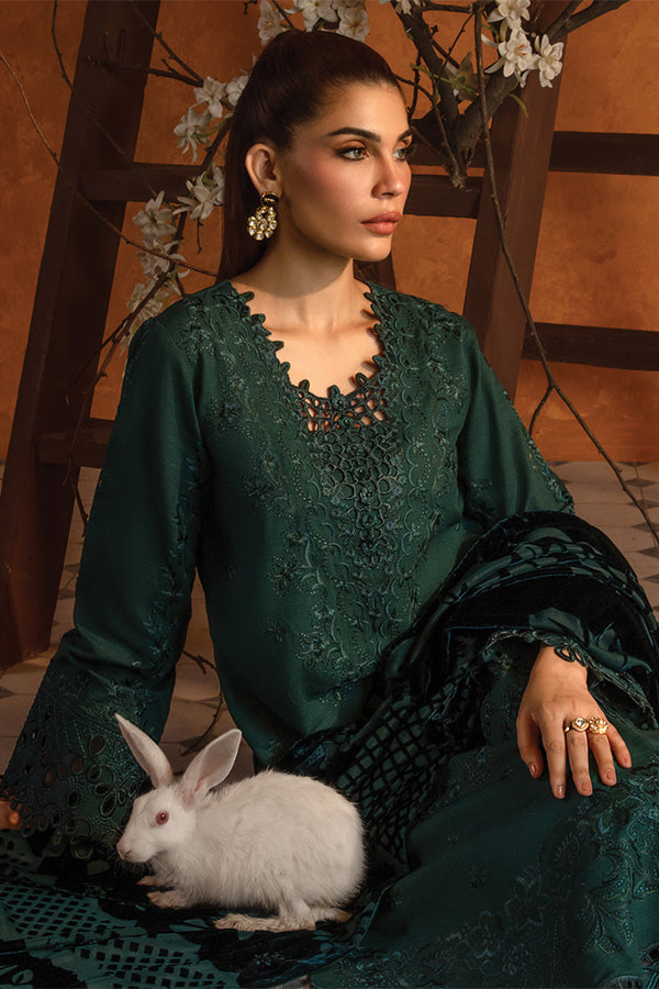 Rang Rasiya Premium Winter Edit'24 D#5