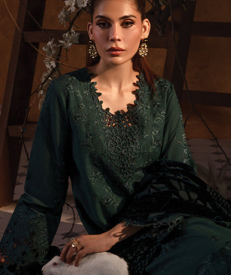 Rang Rasiya Premium Winter Edit'24 D#5