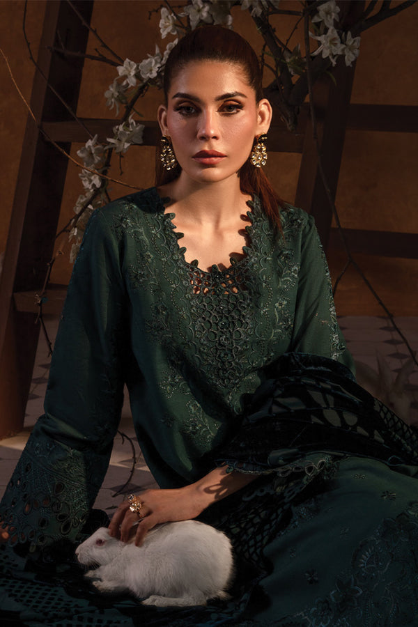 Rang Rasiya Premium Winter Edit'24 D#5