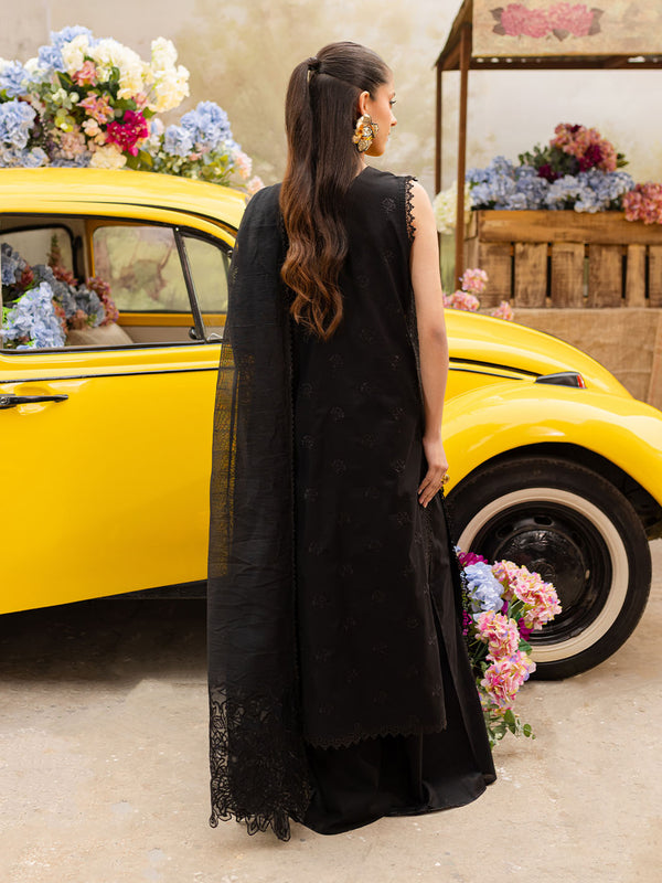 Mahnur Twilight Lawn'25 D#4-A