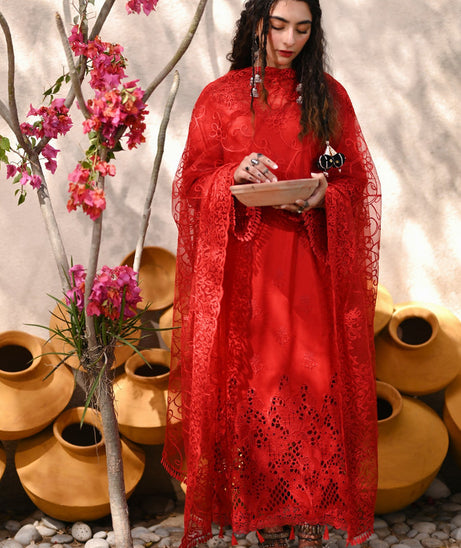 Meena Kumari C/Kari Lawn`23 D#3