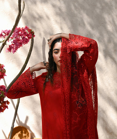 Meena Kumari C/Kari Lawn`23 D#3