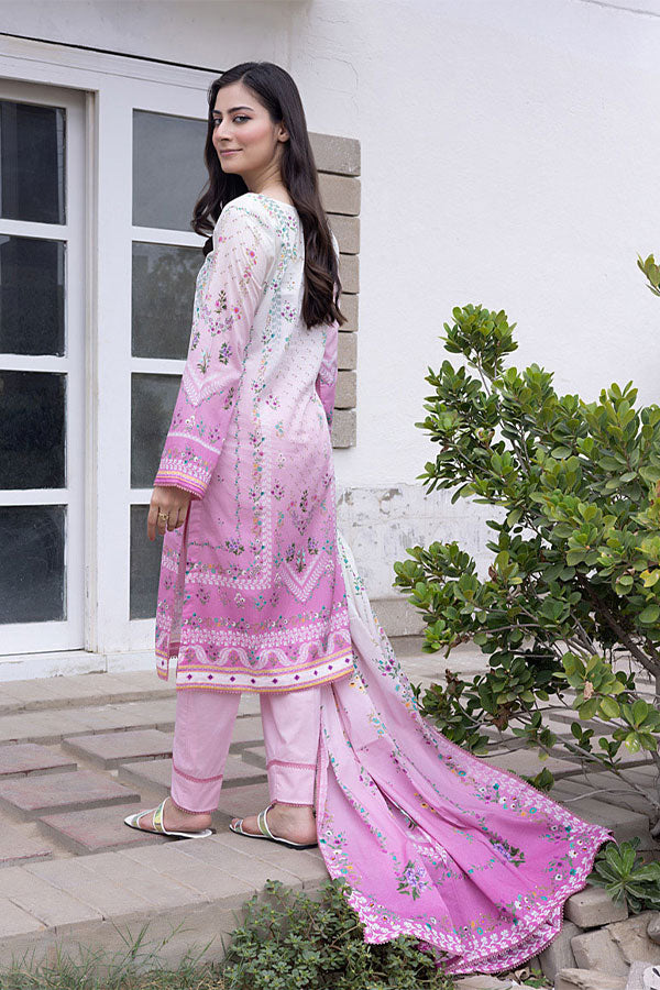 Regalia Digital Lawn'24 V#2 D#4