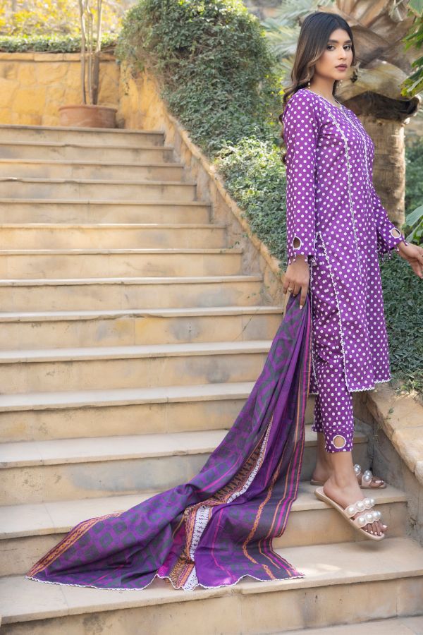 Regalia Orchid Separates Lawn`23 D#11