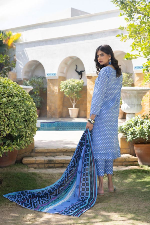 Regalia Orchid Separates Lawn`23 D#04