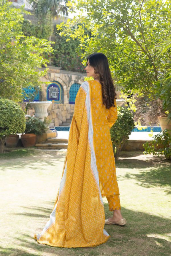 Regalia Orchid Separates Lawn`23 D#09