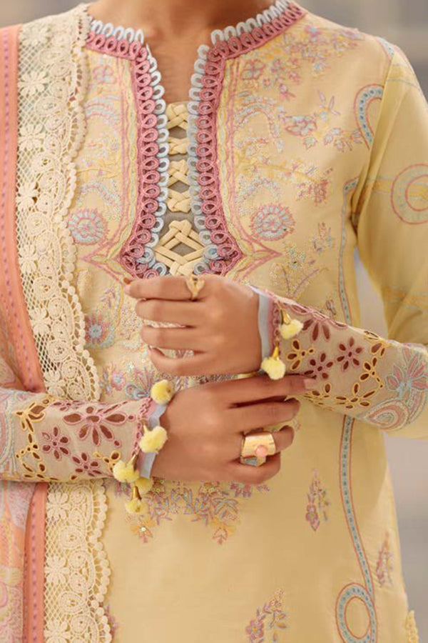 Roheenaz SS Lawn'22 Vol-2 RNZ#6-A