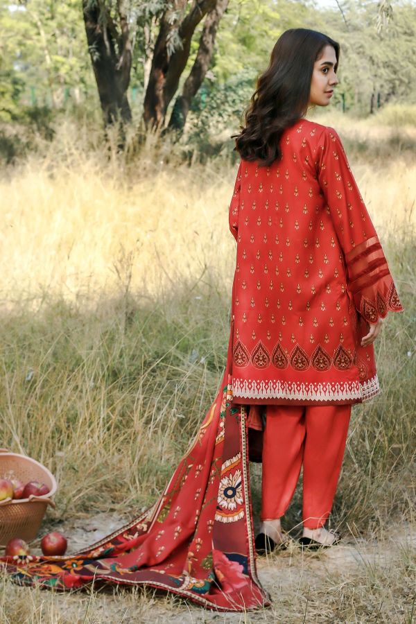 Rungrez Mishkal Winter'20 MSK#1