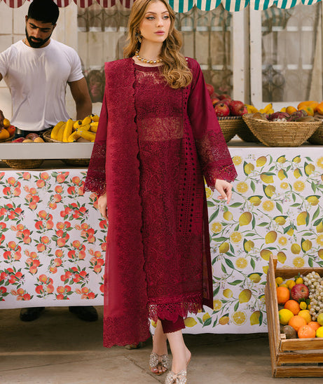 Mahnur Mahrukh Lawn'24 V#2 D#2