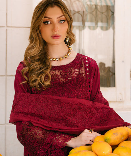 Mahnur Mahrukh Lawn'24 V#2 D#2
