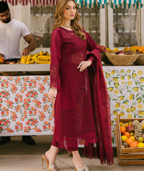 Mahnur Mahrukh Lawn'24 V#2 D#2