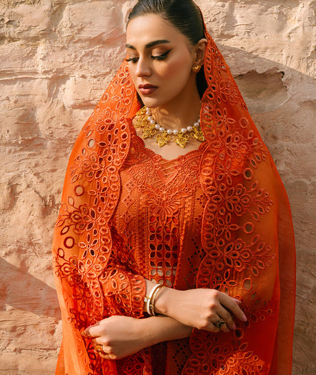 Mahnur Mahrukh Lawn'24 V#2 D#9