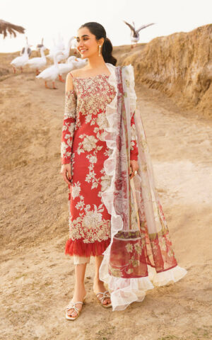 Asifa & Nabeel Meraki`24 Vol-1 SIA