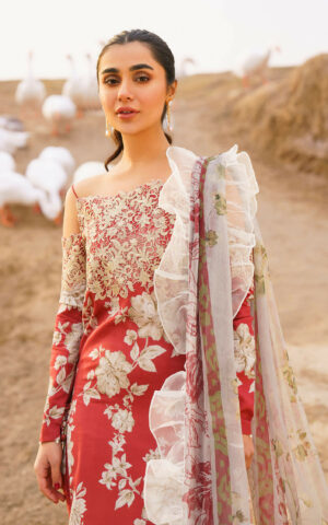Asifa & Nabeel Meraki`24 Vol-1 SIA