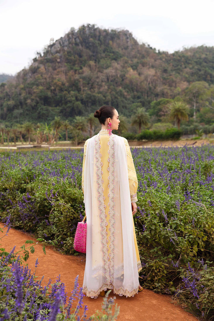 Sable V. Luxury Lawn'24 SL#8