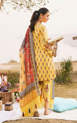 Asifa & Nabeel Meraki`24 Vol-1 SONNET
