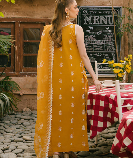 Mahnur Mahrukh Lawn'24 V#2 D#10