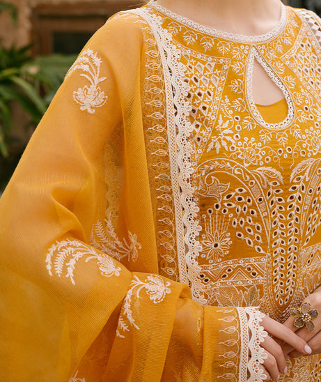 Mahnur Mahrukh Lawn'24 V#2 D#10
