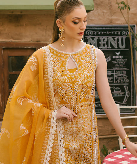Mahnur Mahrukh Lawn'24 V#2 D#10